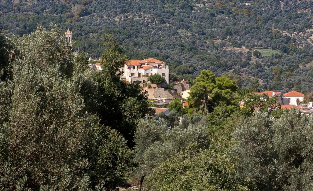 Amari Villas Luaran gambar